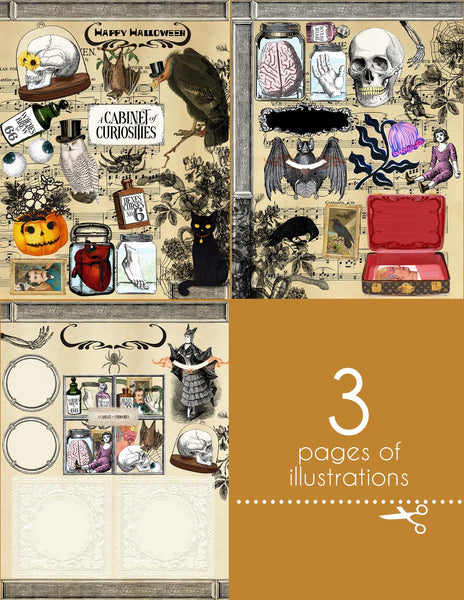 ILLUSTRATION SHEETS - CABINET OF CURIOSITIES
