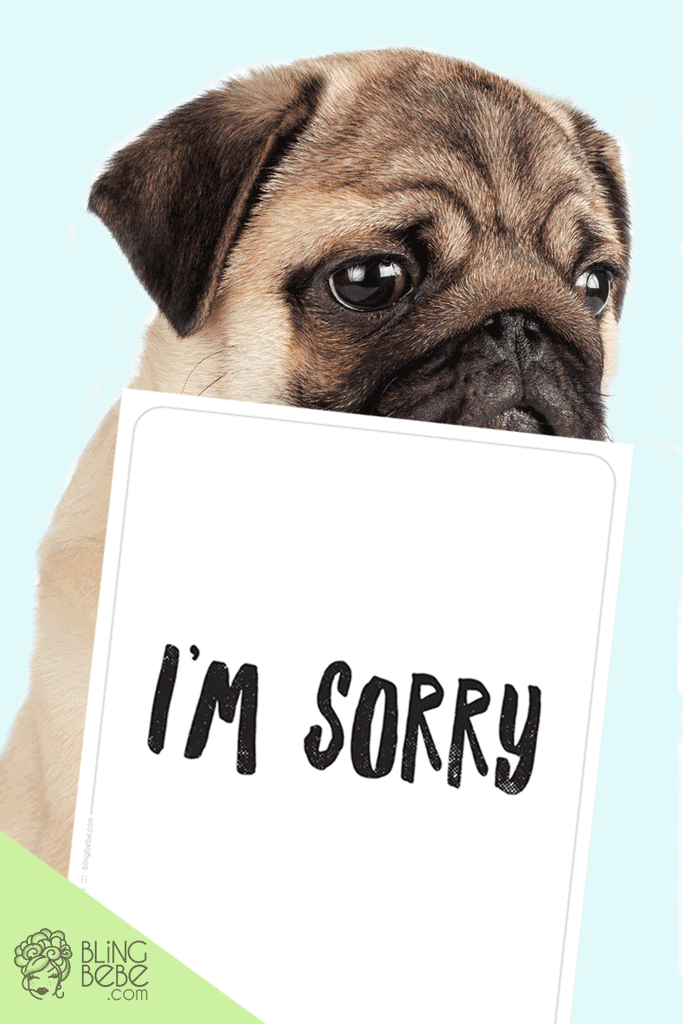 Apology Flashcards - I'm Sorry. I Suck.