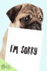 Apology Flashcards - DIY Print-at-Home